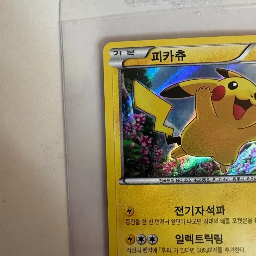 [BUNJANG] XY Promo Pikachu Pokemon Card / XY 프로모 카드 피카츄 포켓몬카드(제시)