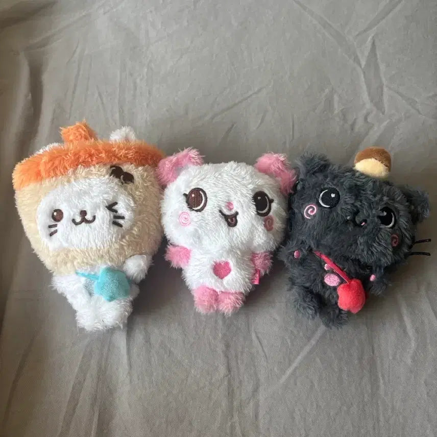 [SOLD OUT] 쿠리