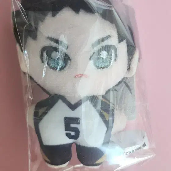[BUNJANG] Keiji Akaashi Plush / 아카아시 케이지 누이