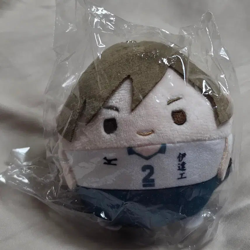 [BUNJANG] Haikyuu!! Kenji Futakuchi Fuwacoro Rin Figure / 하이큐 후와코로링 후타쿠치 켄지