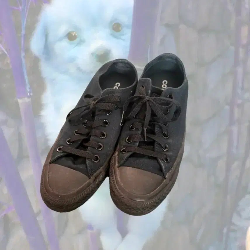 [BUNJANG] Converse Chuck Taylor All Star Sneakers Black 235mm / 컨버스 척테일러 올스타 블랙 235mm 스니커즈