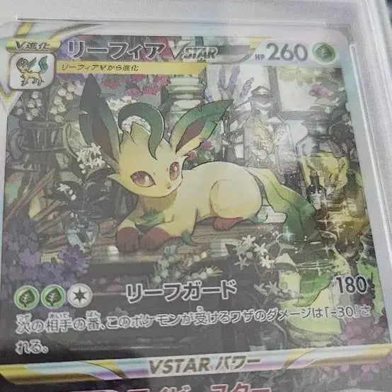 [BUNJANG] Pokemon Leafeon VSTAR SAR PSA 10 Graded Card / 포켓몬카드 리피아 sar VSTAR PSA10