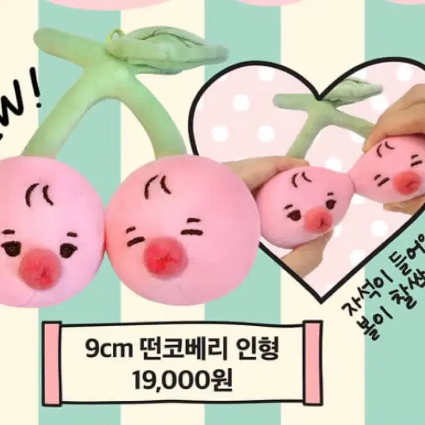 [SOLD OUT] 더보이즈 선우 인형 떤코베리