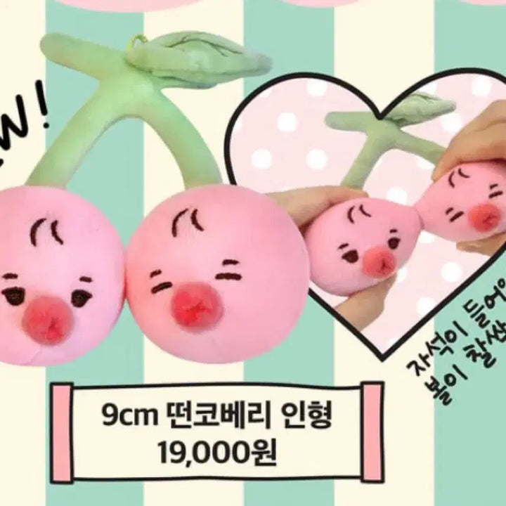 [SOLD OUT] 더보이즈 선우 인형 떤코베리