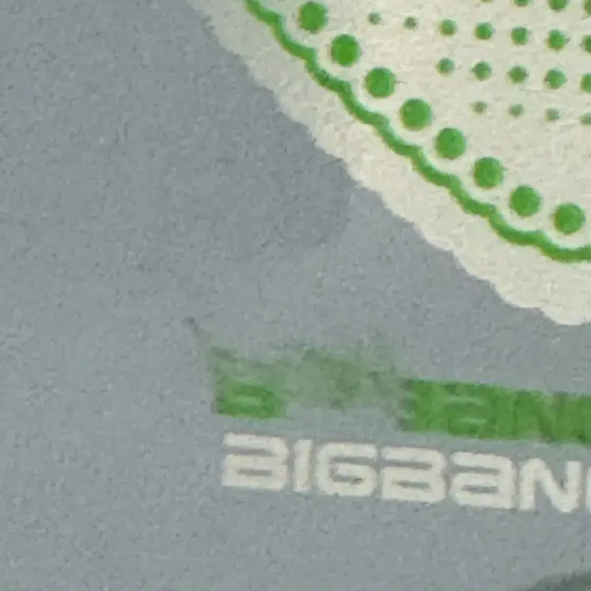 [SOLD OUT] 빅뱅 스페셜 에디션 앨범