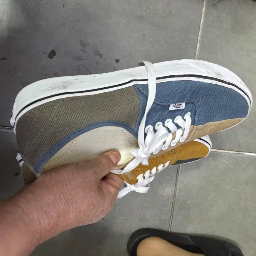 [BUNJANG] Vans Authentic Multicolor Sneakers / 반스 어센틱 멀티컬러 스니커즈280