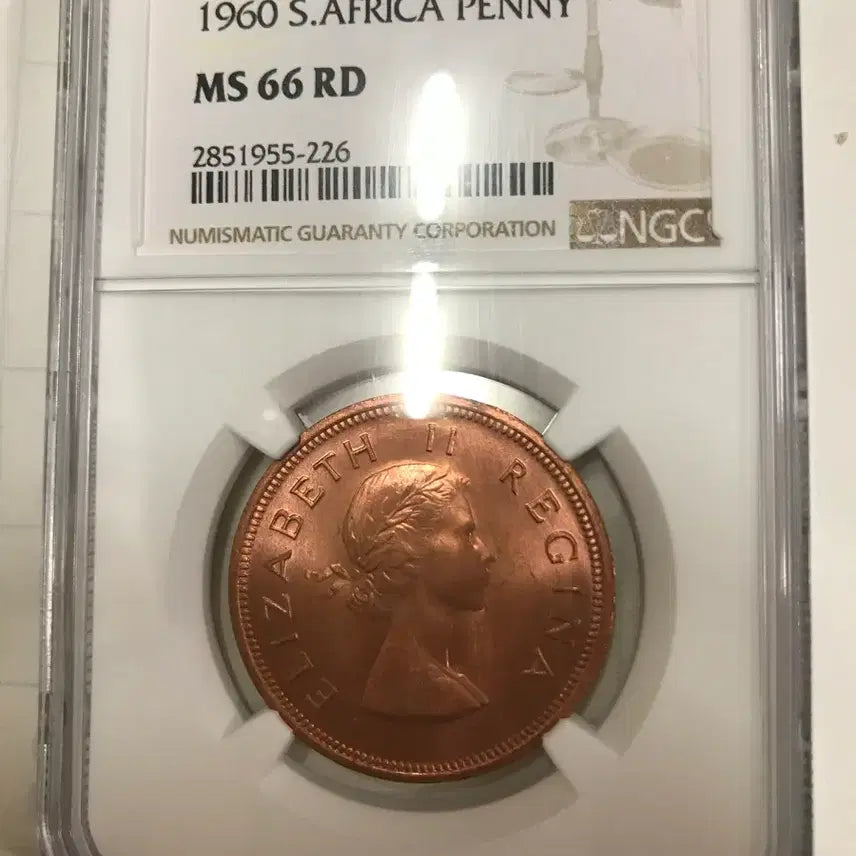 [BUNJANG] South Africa 1960 Penny NGC MS 66 RD Graded Coin / 남아프카 공화국 그레이딩 동전판매