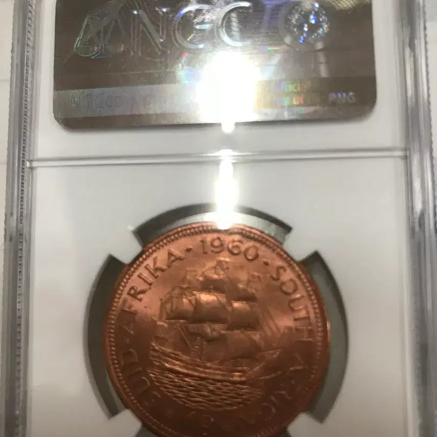[BUNJANG] South Africa 1960 Penny NGC MS 66 RD Graded Coin / 남아프카 공화국 그레이딩 동전판매