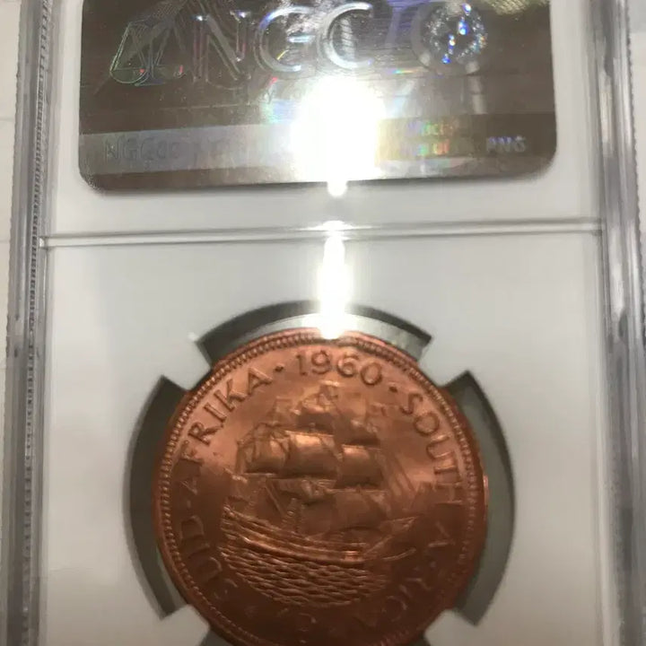 [BUNJANG] South Africa 1960 Penny NGC MS 66 RD Graded Coin / 남아프카 공화국 그레이딩 동전판매