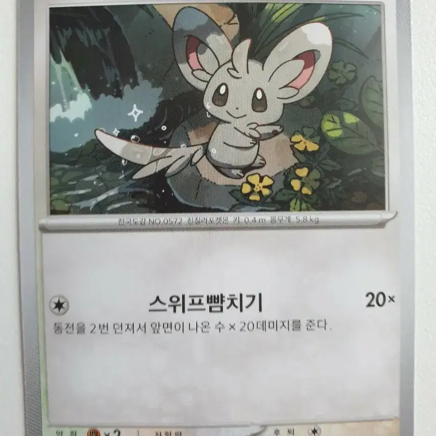 [BUNJANG] Chirami Pokemon Card / 치라미 포켓몬카드