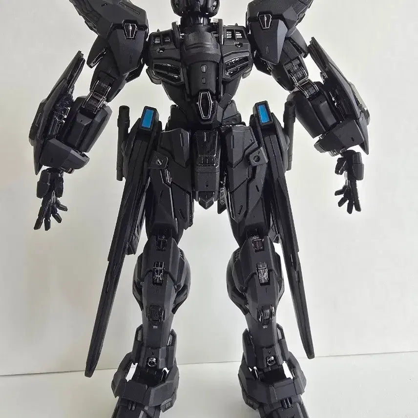 [BUNJANG] Jangryong Midnight Assembly Complete Model / 장룡(장용) 미드나이트 조립완성품 팝니다.