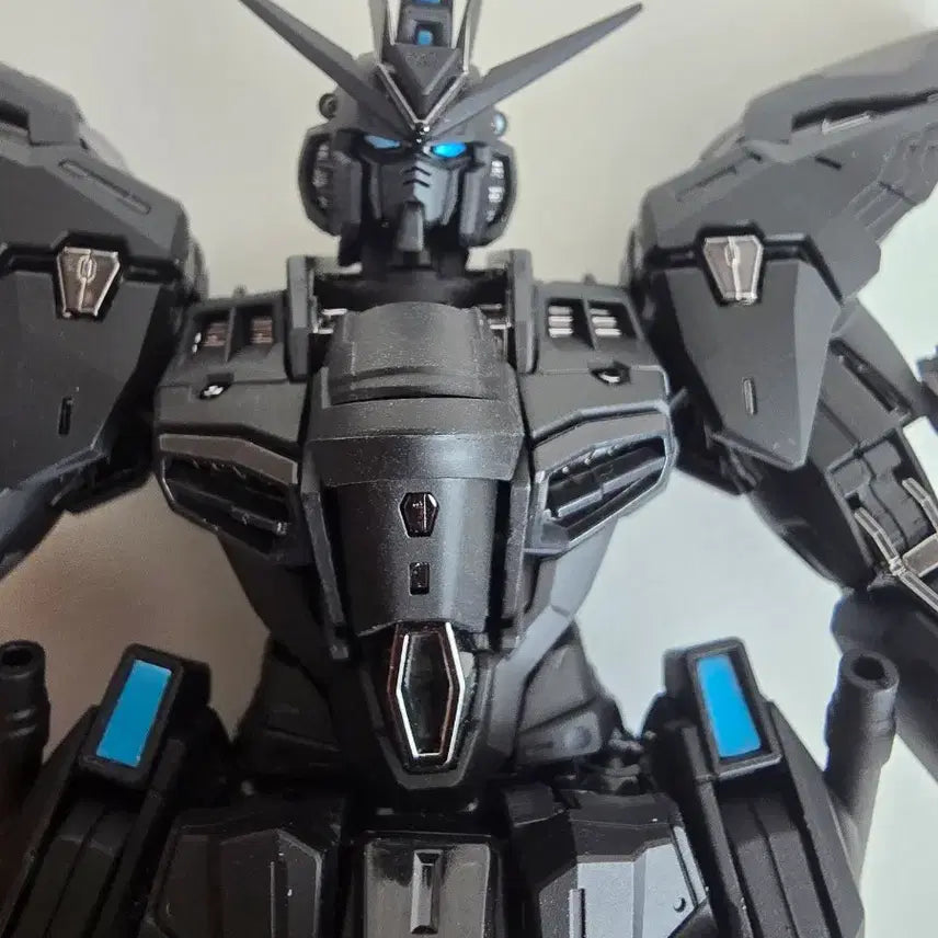 [BUNJANG] Jangryong Midnight Assembly Complete Model / 장룡(장용) 미드나이트 조립완성품 팝니다.