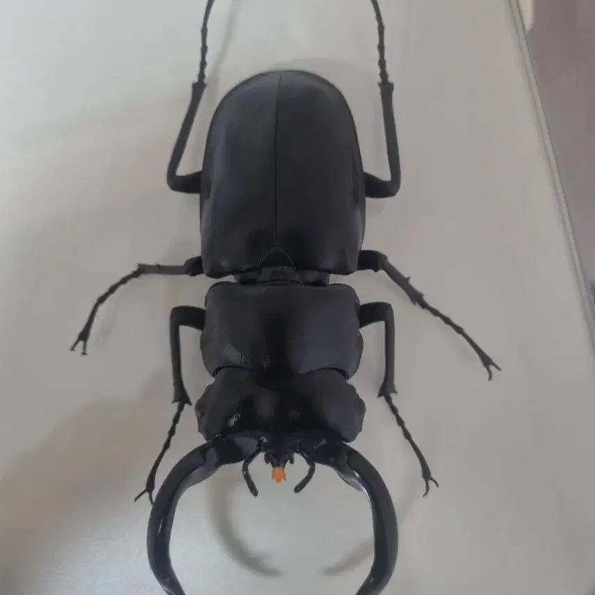 [BUNJANG] Bandai Stag Beetle Figure / 반다이 사슴벌레 피규어