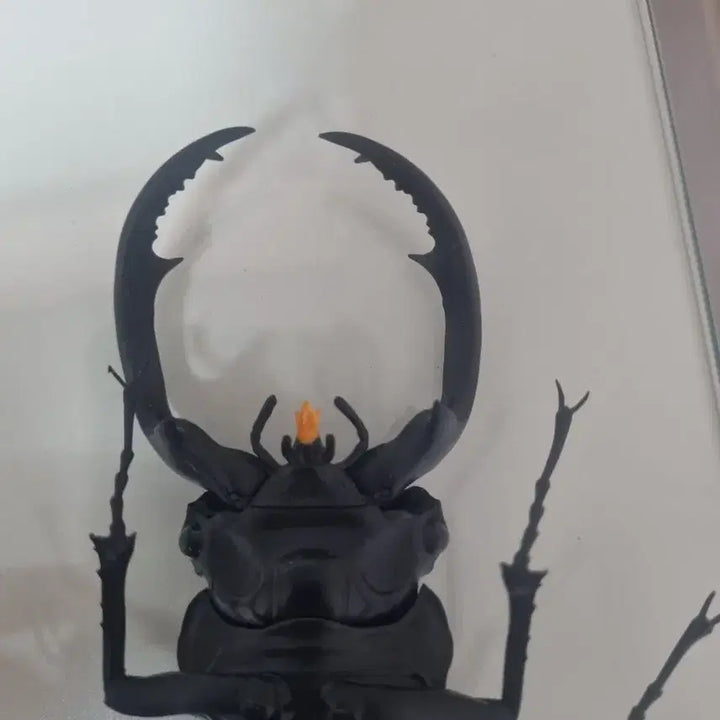 [BUNJANG] Bandai Stag Beetle Figure / 반다이 사슴벌레 피규어
