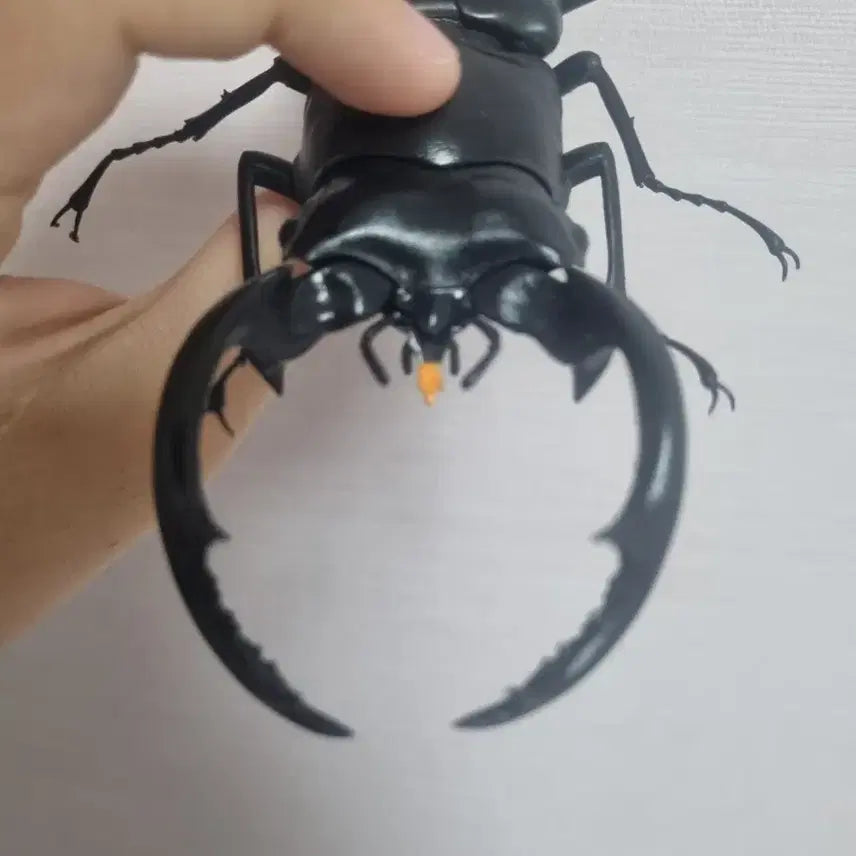 [BUNJANG] Bandai Stag Beetle Figure / 반다이 사슴벌레 피규어