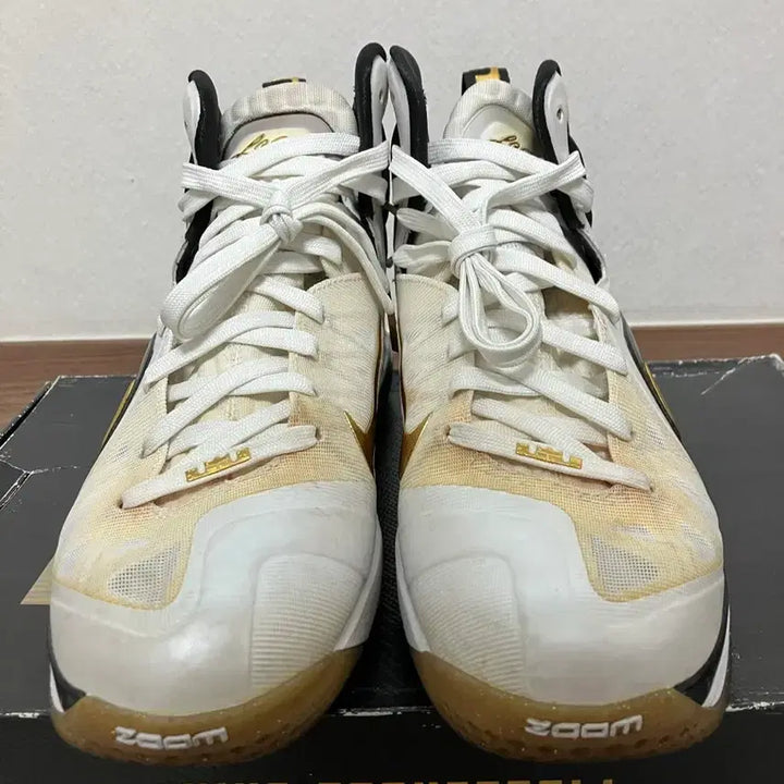 [BUNJANG] Nike LeBron 9 Elite Men&