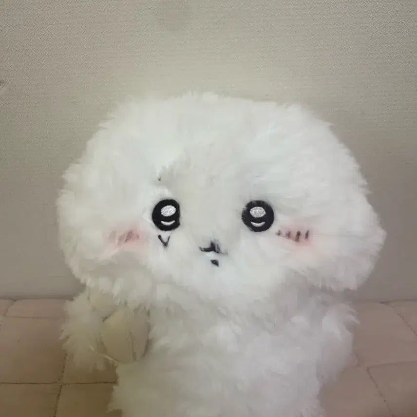 [BUNJANG] Chiiikawa Fluffy &amp; Sweaty Chiiikawa Plush / 털찐 치이카와 땀띠카와