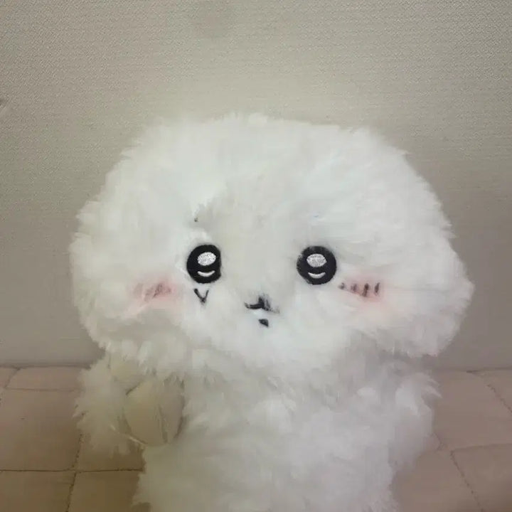 [BUNJANG] Chiiikawa Fluffy &amp; Sweaty Chiiikawa Plush / 털찐 치이카와 땀띠카와