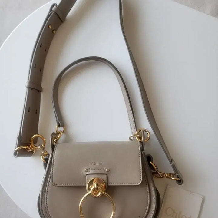 [BUNJANG] Chloé Tess Small Grey Tote Bag Shoulder Bag / 끌로에 테스백 스몰 그레이 토트백 숄더백