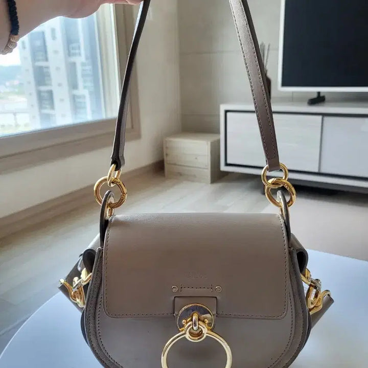 [BUNJANG] Chloé Tess Small Grey Tote Bag Shoulder Bag / 끌로에 테스백 스몰 그레이 토트백 숄더백