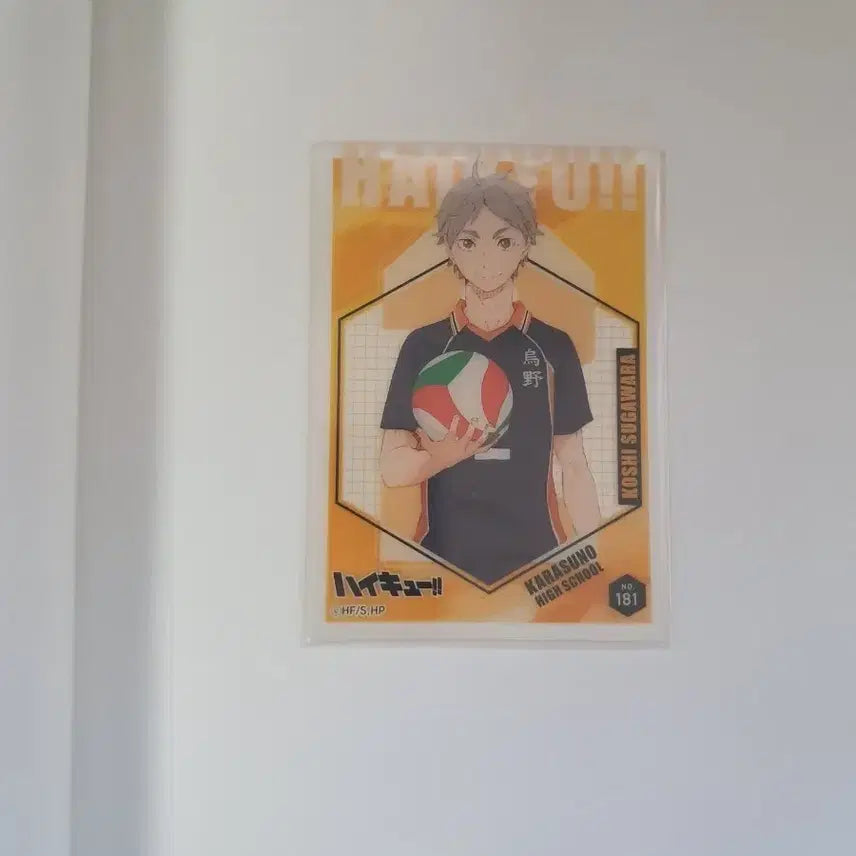 [BUNJANG] Haikyu!! Sugawara Clear Card / 하이큐 스가와라 클리어 카드