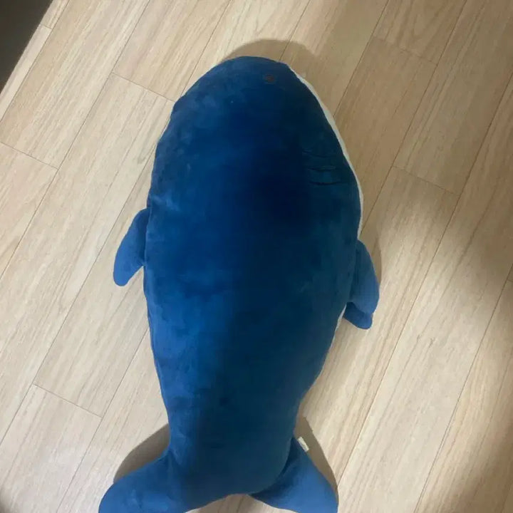 [BUNJANG] Shark Plush Toy / 인형