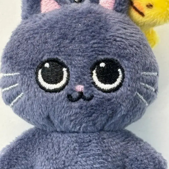 [BUNJANG] RIIZE RIIZ Collab Long-Legged Cat Plush Doll / 라이즈 리라즈 롱다리 토냥덕 팔아요!