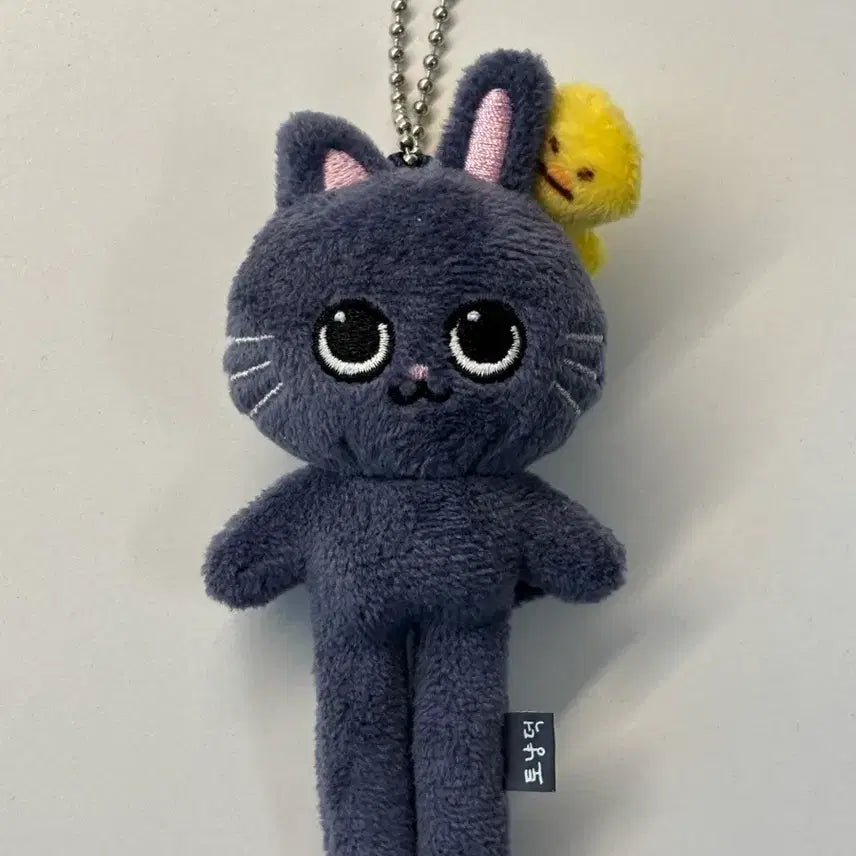 [BUNJANG] RIIZE RIIZ Collab Long-Legged Cat Plush Doll / 라이즈 리라즈 롱다리 토냥덕 팔아요!
