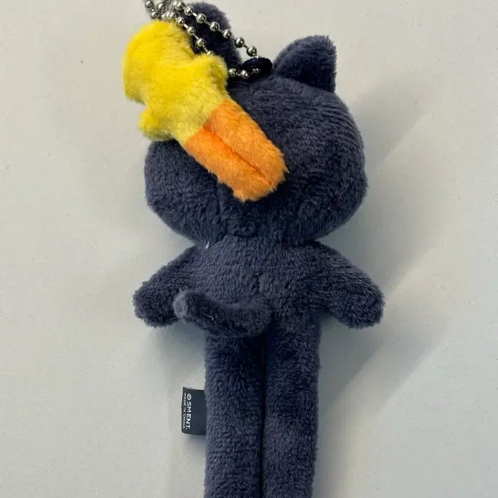 [BUNJANG] RIIZE RIIZ Collab Long-Legged Cat Plush Doll / 라이즈 리라즈 롱다리 토냥덕 팔아요!