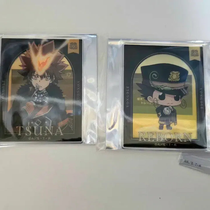 [BUNJANG] Katekyo Hitman Reborn! Tsuna &amp; Reborn Goods Set / 가정교사 히트맨 리본 츠나 굿즈