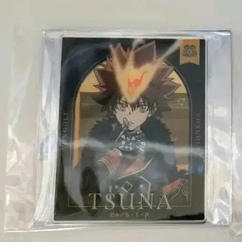 [BUNJANG] Katekyo Hitman Reborn! Tsuna &amp; Reborn Goods Set / 가정교사 히트맨 리본 츠나 굿즈