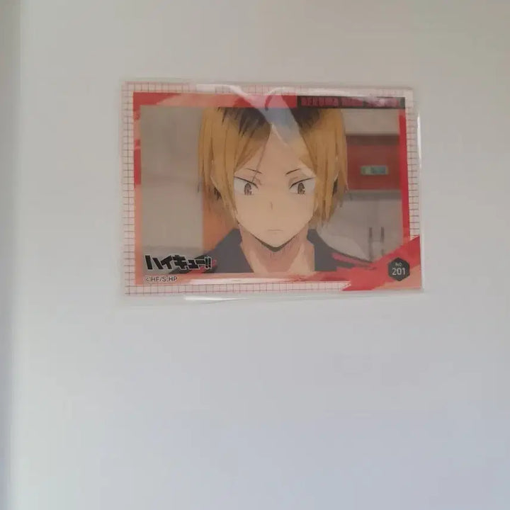 [BUNJANG] Haikyuu!! Kozume Kenma Clear Card / 하이큐 켄마 클리어 카드
