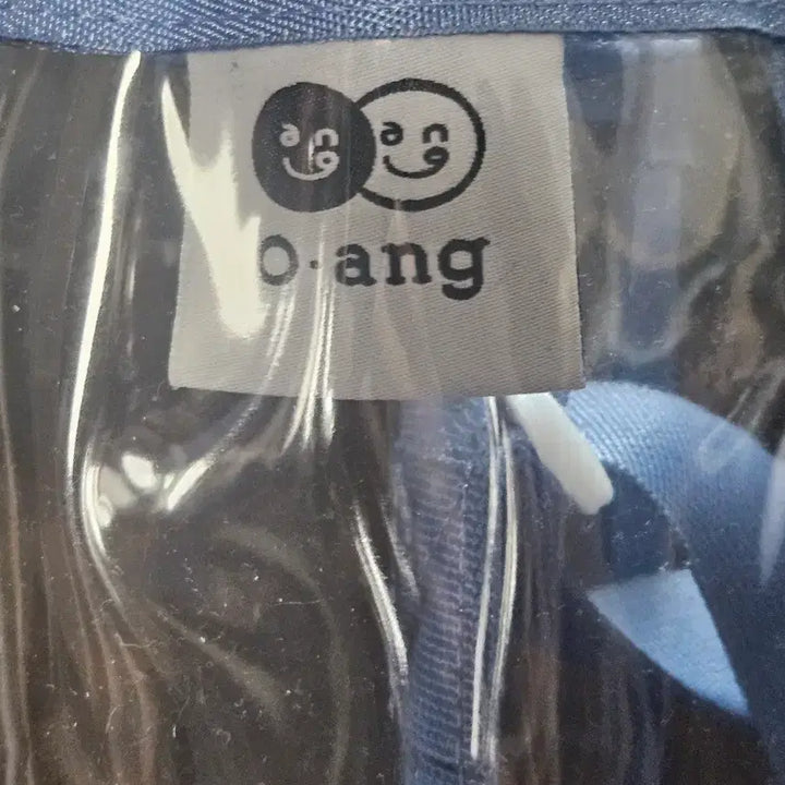 [BUNJANG] Blue Transparent PVC Crossbody Bag / 파란색 투명 PVC 가방 크로스백