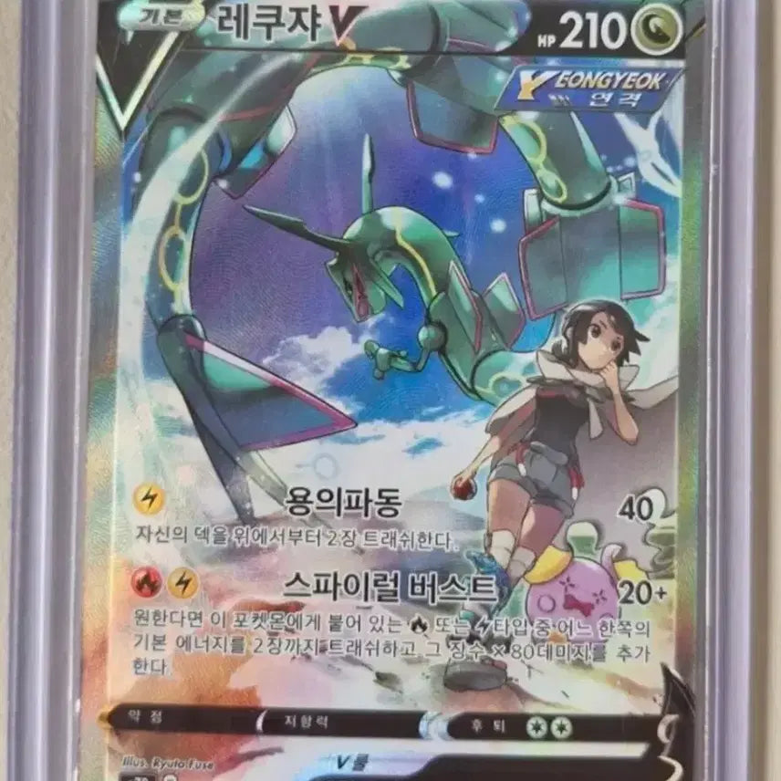 [BUNJANG] Rayquaza V Special Illustration Rare / 레쿠자v특일