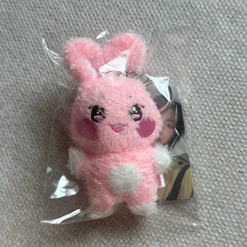 [BUNJANG] ANYTIZ Star Plush Doll Photocard Set / 애니티즈 떵별이 인형 포카 포함