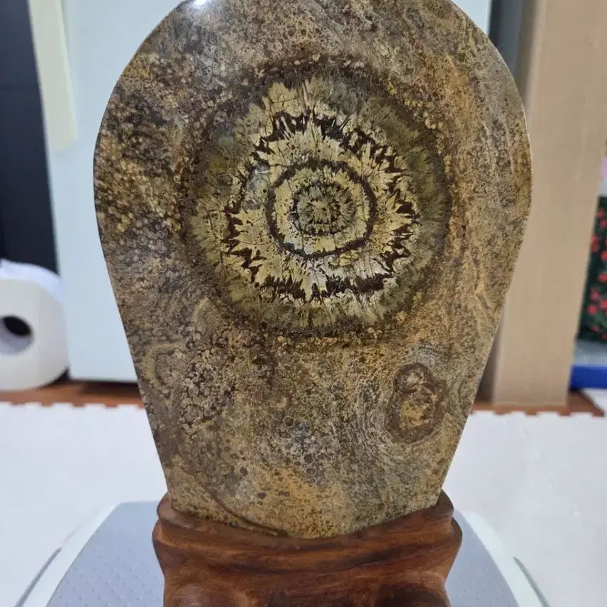 [BUNJANG] Cheongsong Sunflower Stone / 청송 해바라기 수석