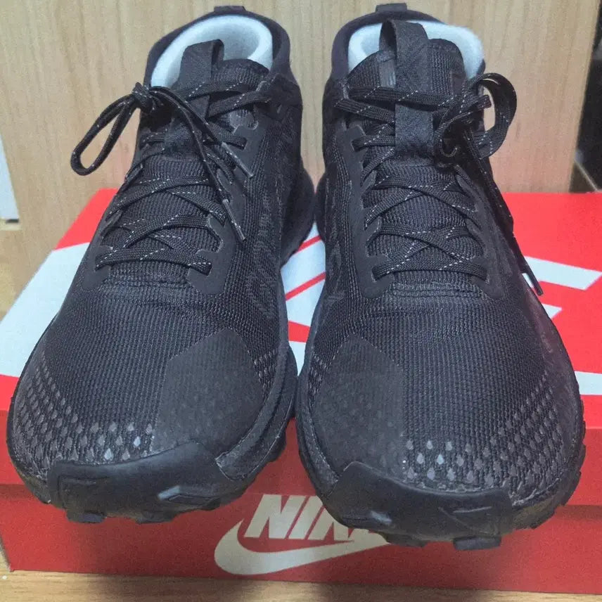 [BUNJANG] Nike Pegasus Trail 4 GTX Running Shoes (260mm) / 나이키 정품 고어텍스 런닝화  페가수스 트레일4 GTX 260