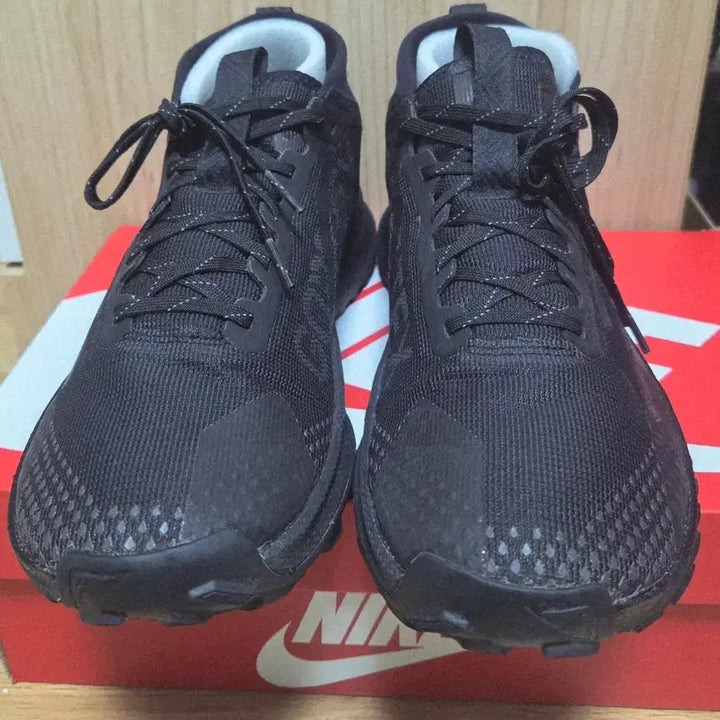 [BUNJANG] Nike Pegasus Trail 4 GTX Running Shoes (260mm) / 나이키 정품 고어텍스 런닝화  페가수스 트레일4 GTX 260