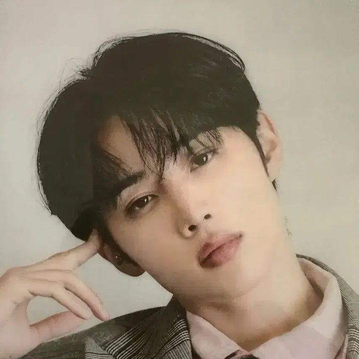 [BUNJANG] The Boyz Sunwoo Super Star A4 File Holder / 더보이즈 선우 Super Star 파일홀더 A4