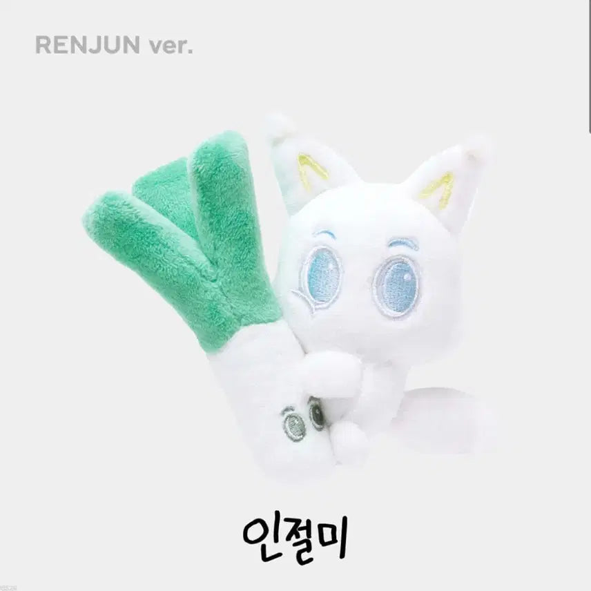 [BUNJANG] NCT DREAM Renjun Green Onion Rice Cake Photocard / 엔시티 드림 런쥔 대파절미 양도
