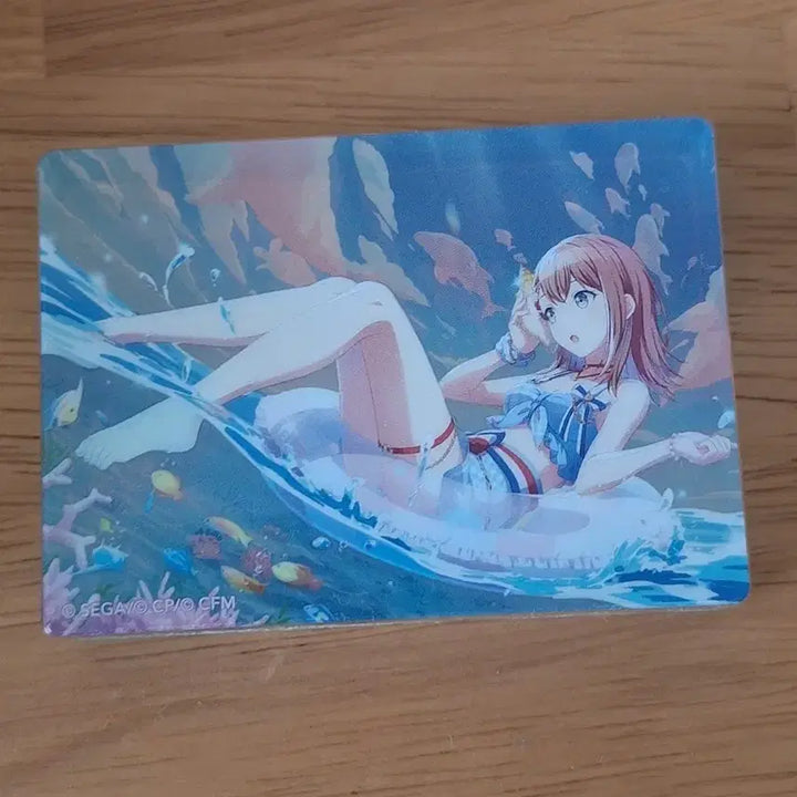 [BUNJANG] Hanasato Minori Nobulart / 하나사토 미노리 노블아트