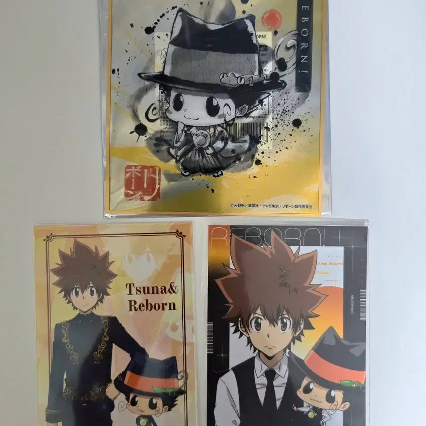 [BUNJANG] Katekyo Hitman Reborn! Tsuna &amp; Reborn Postcard Set / 가정교사 히트맨 리본 츠나, 리본 엽서 세트