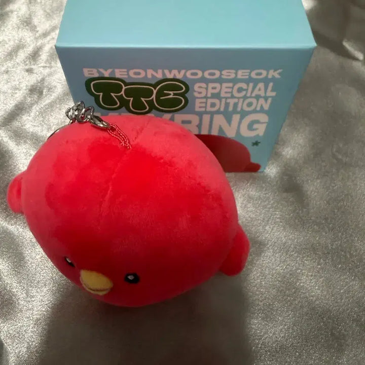 [BUNJANG] Byun Woo Suk Tong Tongi Keyring Official Goods / 변우석 통통이키링 공식굿즈