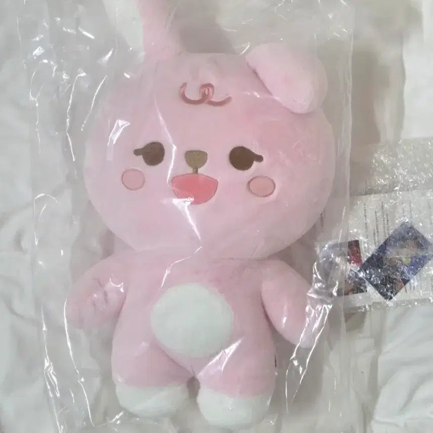 [BUNJANG] Giant Petit Merz Phil Sealed Bundle Set / 자이언트 쁘띠멀즈 필 미개봉 양도합니다