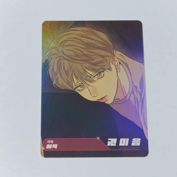 [BUNJANG] Resin AR Trading Card (Aeyok Kwon Mium) / 레진수 AR 트레이딩 카드 (애욕 권미음)
