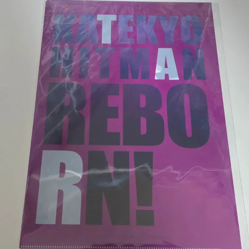 [BUNJANG] Katekyo Hitman Reborn! Hibari Clear File / 가정교사 히트맨 리본 히바리 클리어 파일