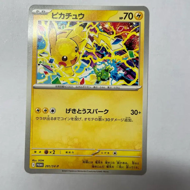 [BUNJANG] Pokemon Pikachu Promo Japanese Card / 포켓몬 카드 피카츄 프로모 일판