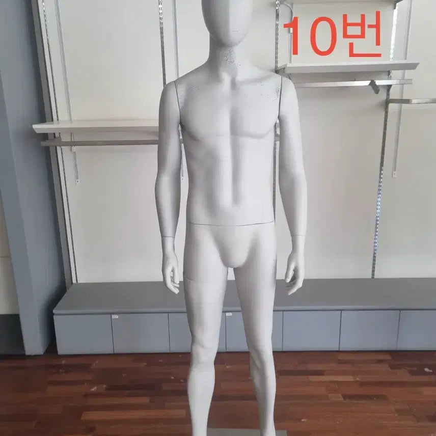 [BUNJANG] Full Body Mannequin (Male/Female) / 남자 여자 전신마네킹