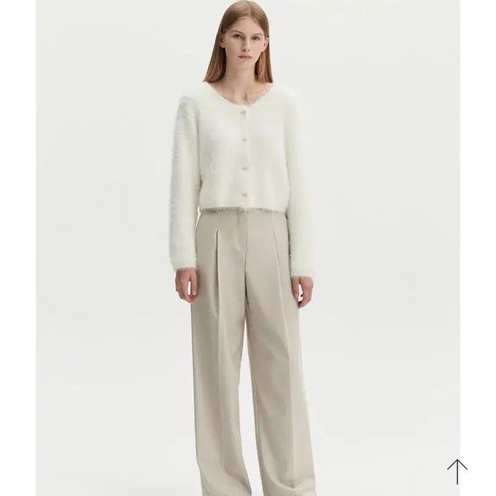 [BUNJANG] Mongdol One-Pleat Wide Slacks (Beige, Size S) / 몽돌 하의