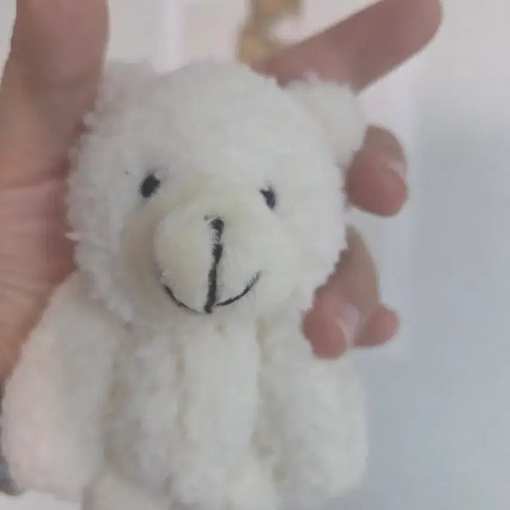 [BUNJANG] Beige Teddy Bear Charm Keychain / 베이지 곰돌이 인형 키링